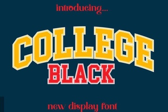 Modern College Black Font Designs for Websites